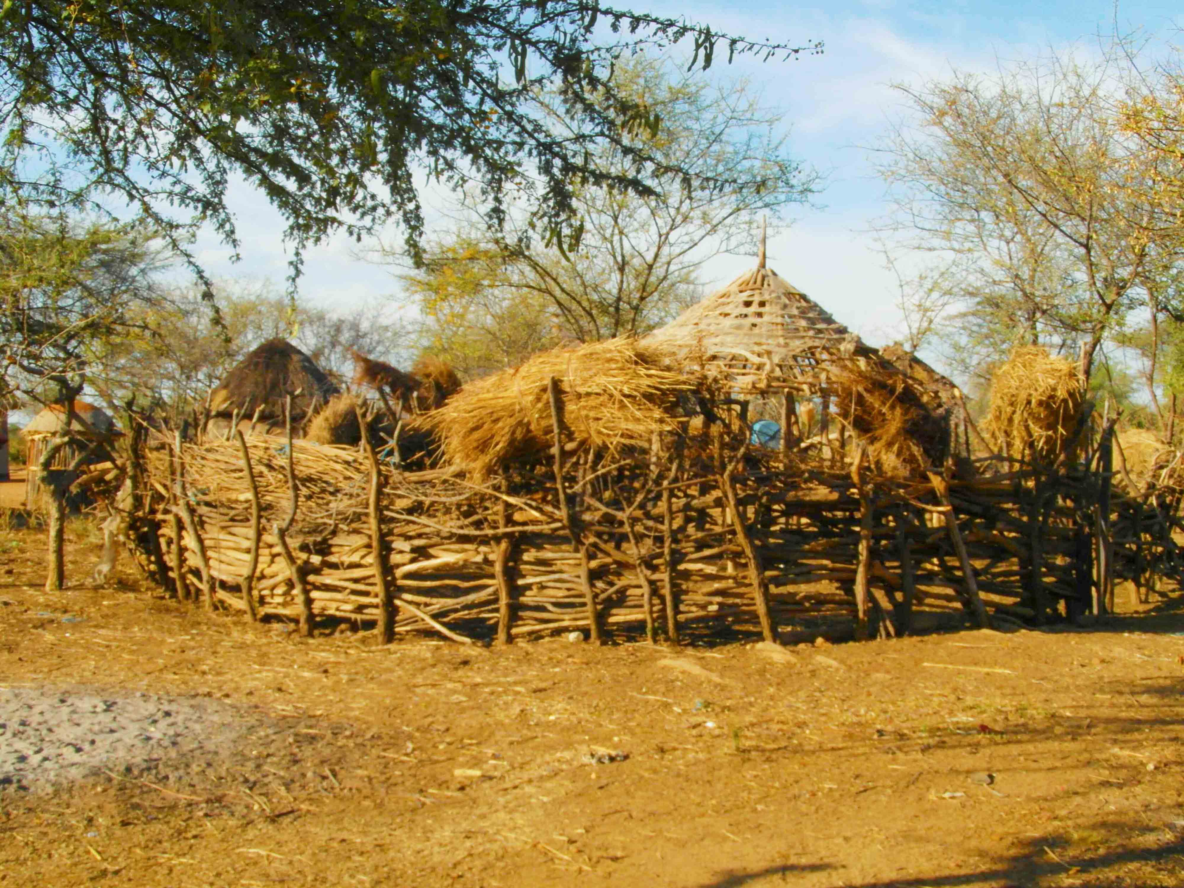 Kraal Visits
