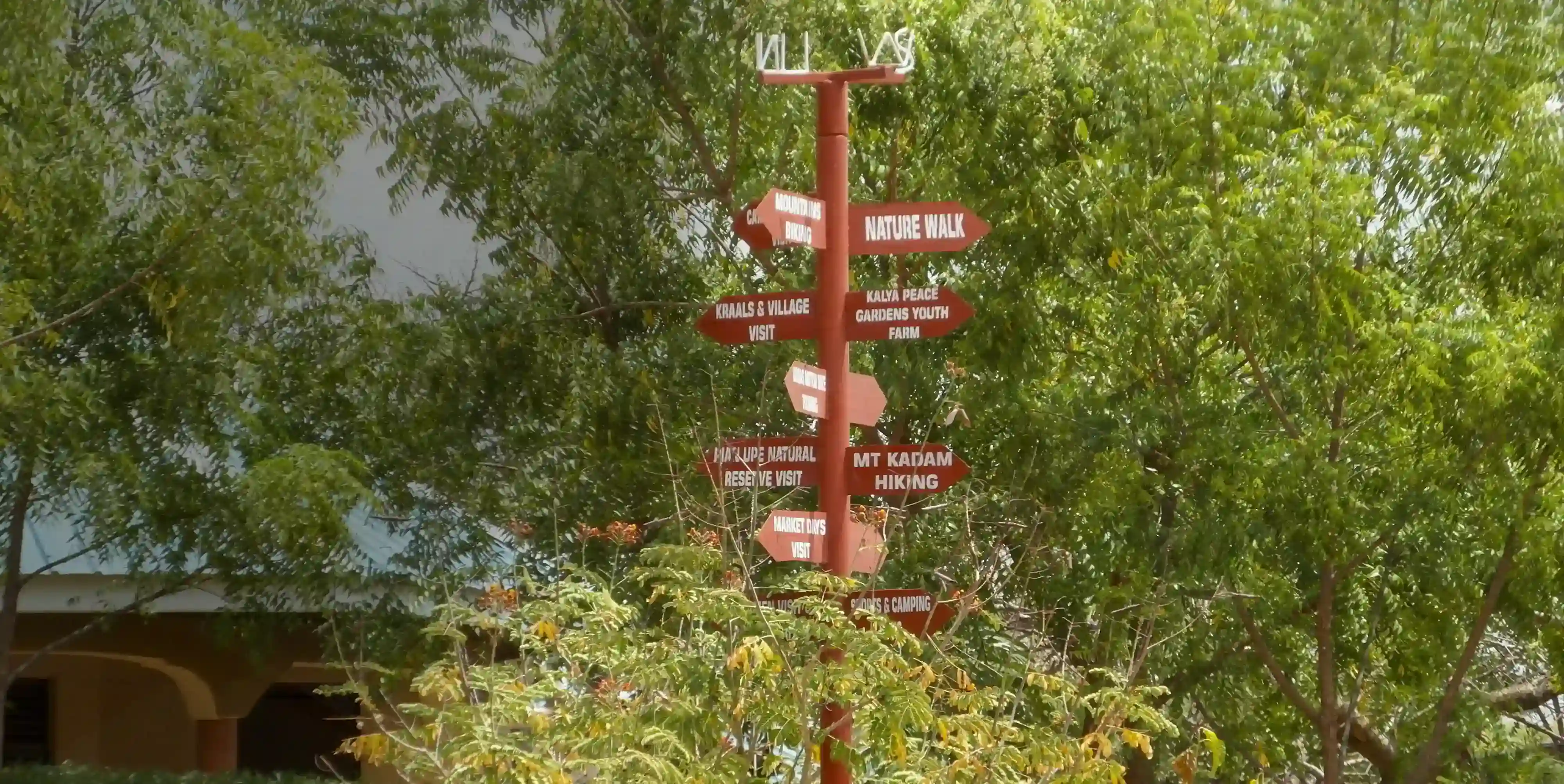 Cultural Tours and Activities